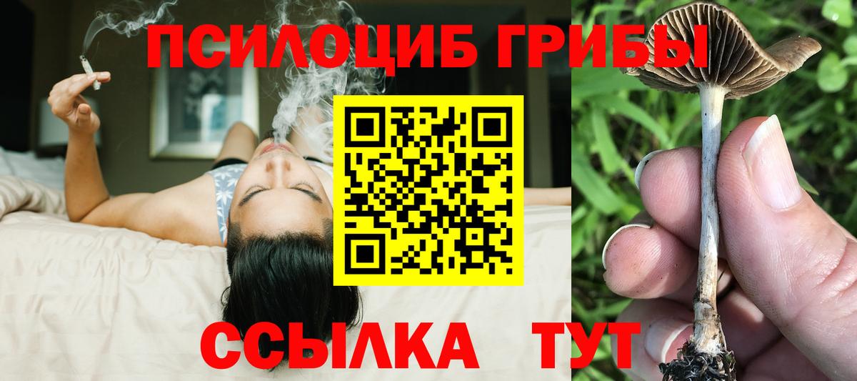 Галлюциногенные грибы ЛСД Лениногорск